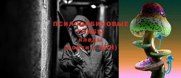 а пвп мука Абаза