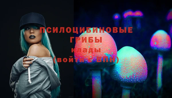 МДПВ Абдулино